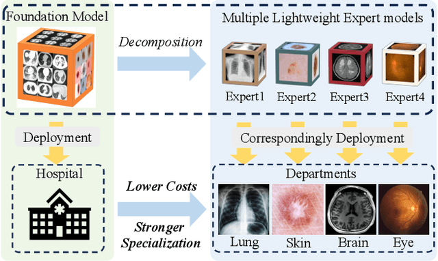 Figure 1 for Low-Rank Knowledge Decomposition for Medical Foundation Models