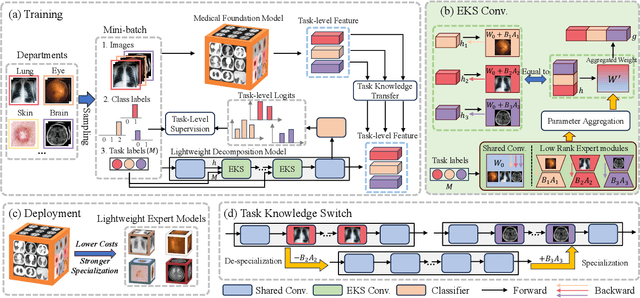 Figure 3 for Low-Rank Knowledge Decomposition for Medical Foundation Models