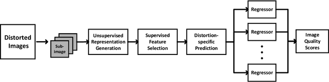 Figure 1 for Lightweight High-Performance Blind Image Quality Assessment