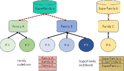 Figure 3 for Beyond ESM2: Graph-Enhanced Protein Sequence Modeling with Efficient Clustering