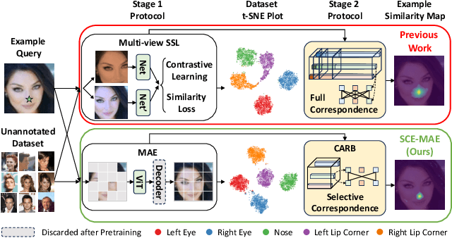 Figure 1 for SCE-MAE: Selective Correspondence Enhancement with Masked Autoencoder for Self-Supervised Landmark Estimation