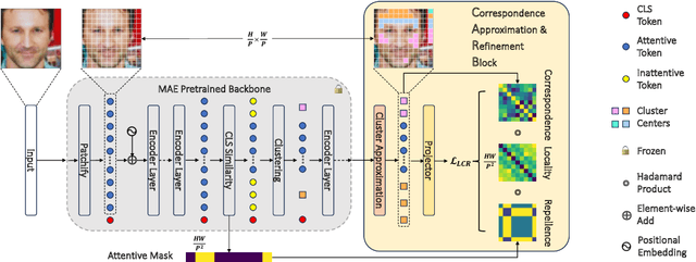 Figure 3 for SCE-MAE: Selective Correspondence Enhancement with Masked Autoencoder for Self-Supervised Landmark Estimation