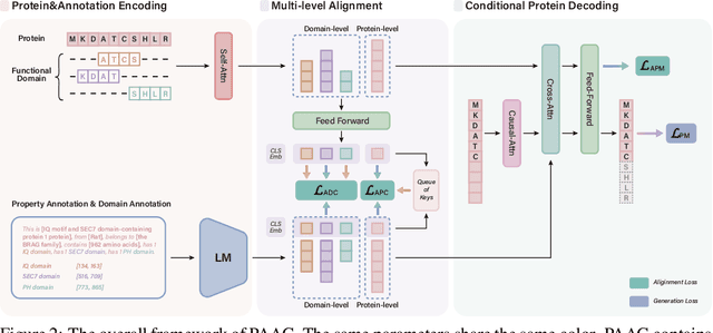 Figure 2 for Functional Protein Design with Local Domain Alignment