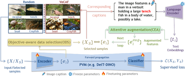 Figure 3 for VeCAF: VLM-empowered Collaborative Active Finetuning with Training Objective Awareness