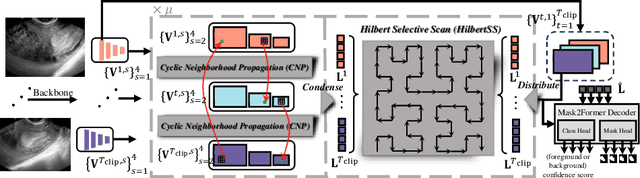 Figure 1 for LGRNet: Local-Global Reciprocal Network for Uterine Fibroid Segmentation in Ultrasound Videos