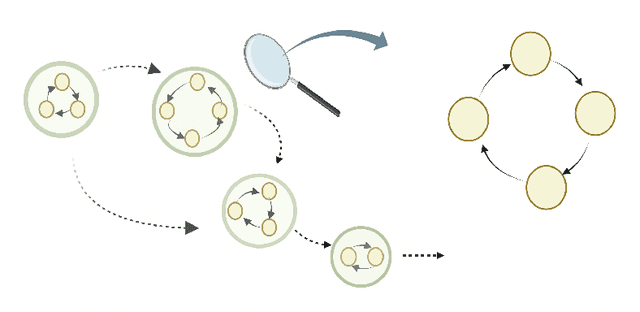 Figure 1 for Directed Cyclic Graph for Causal Discovery from Multivariate Functional Data