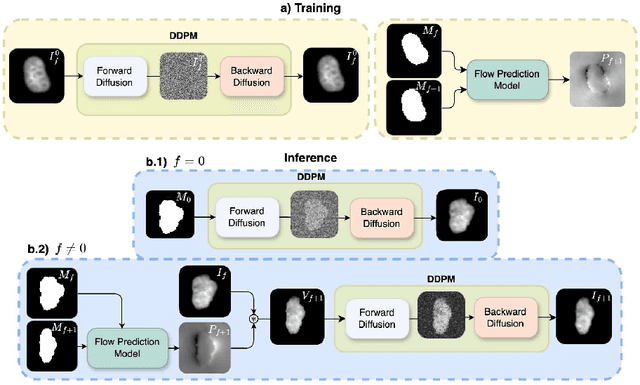 Figure 1 for Annotated Biomedical Video Generation using Denoising Diffusion Probabilistic Models and Flow Fields