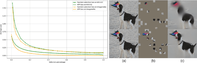 Figure 1 for Key Patch Proposer: Key Patches Contain Rich Information