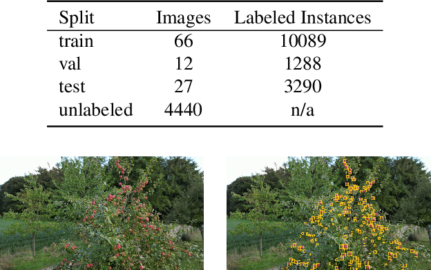 Figure 2 for S$^3$AD: Semi-supervised Small Apple Detection in Orchard Environments