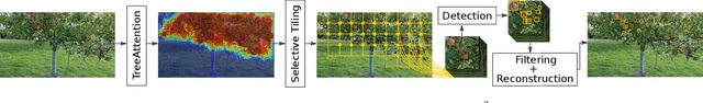 Figure 3 for S$^3$AD: Semi-supervised Small Apple Detection in Orchard Environments