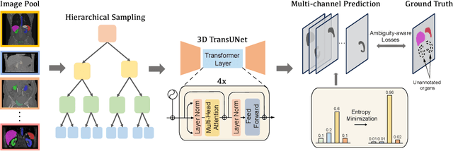 Figure 3 for Versatile Medical Image Segmentation Learned from Multi-Source Datasets via Model Self-Disambiguation