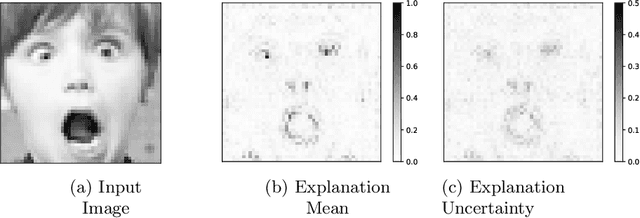 Figure 1 for Sanity Checks for Explanation Uncertainty