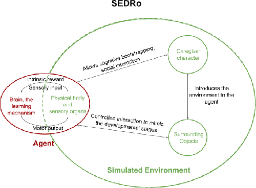 Figure 4 for SEDRo: A Simulated Environment for Developmental Robotics