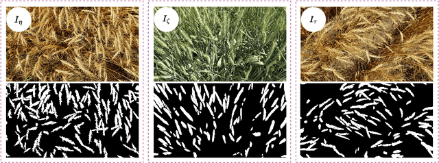 Figure 1 for Semi-Self-Supervised Domain Adaptation: Developing Deep Learning Models with Limited Annotated Data for Wheat Head Segmentation