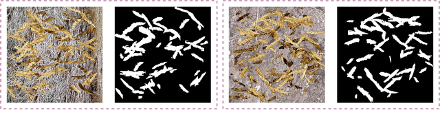 Figure 3 for Semi-Self-Supervised Domain Adaptation: Developing Deep Learning Models with Limited Annotated Data for Wheat Head Segmentation