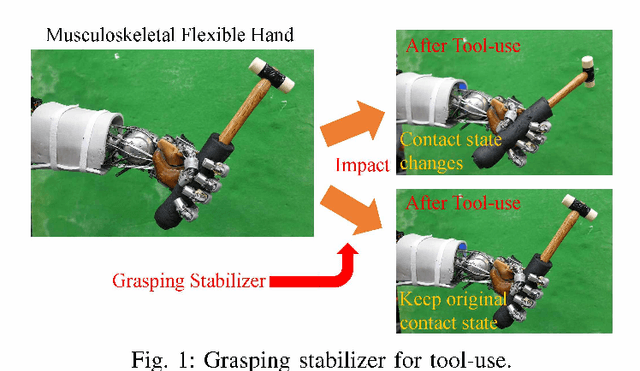 Figure 1 for Stable Tool-Use with Flexible Musculoskeletal Hands by Learning the Predictive Model of Sensor State Transition