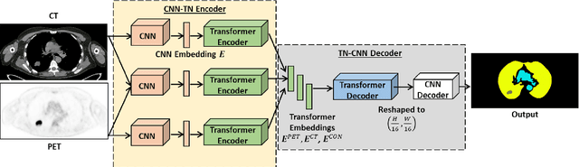 Figure 1 for Hyper-Connected Transformer Network for Co-Learning Multi-Modality PET-CT Features