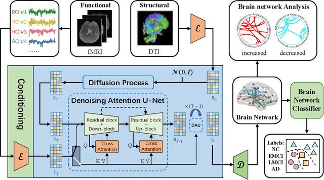 Figure 1 for BrainNetDiff: Generative AI Empowers Brain Network Generation via Multimodal Diffusion Model