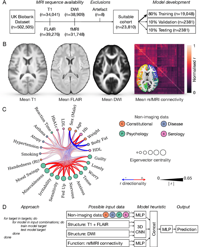 Figure 3 for The legibility of the imaged human brain