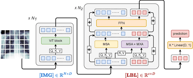 Figure 1 for LT-ViT: A Vision Transformer for multi-label Chest X-ray classification