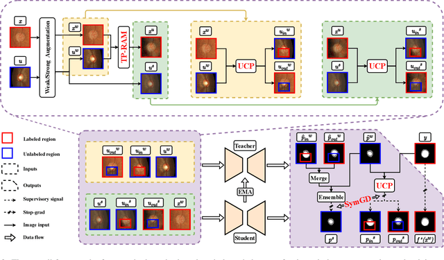 Figure 2 for Constructing and Exploring Intermediate Domains in Mixed Domain Semi-supervised Medical Image Segmentation