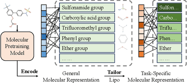 Figure 1 for MolTailor: Tailoring Chemical Molecular Representation to Specific Tasks via Text Prompts