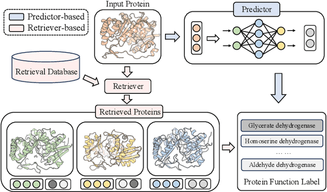 Figure 1 for ProtIR: Iterative Refinement between Retrievers and Predictors for Protein Function Annotation