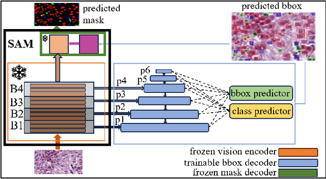 Figure 1 for Pathological Primitive Segmentation Based on Visual Foundation Model with Zero-Shot Mask Generation