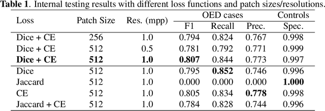 Figure 1 for Transformer-based Model for Oral Epithelial Dysplasia Segmentation