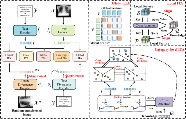 Figure 3 for MLIP: Enhancing Medical Visual Representation with Divergence Encoder and Knowledge-guided Contrastive Learning