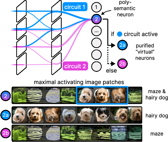 Figure 1 for PURE: Turning Polysemantic Neurons Into Pure Features by Identifying Relevant Circuits