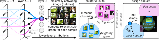 Figure 2 for PURE: Turning Polysemantic Neurons Into Pure Features by Identifying Relevant Circuits