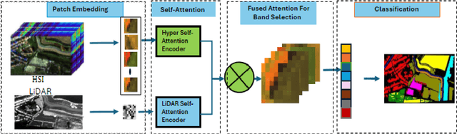 Figure 3 for LiDAR-Guided Cross-Attention Fusion for Hyperspectral Band Selection and Image Classification