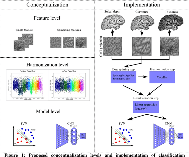 Figure 1 for DenseNet and Support Vector Machine classifications of major depressive disorder using vertex-wise cortical features