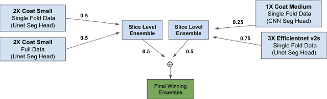 Figure 3 for Advanced AI Framework for Enhanced Detection and Assessment of Abdominal Trauma: Integrating 3D Segmentation with 2D CNN and RNN Models