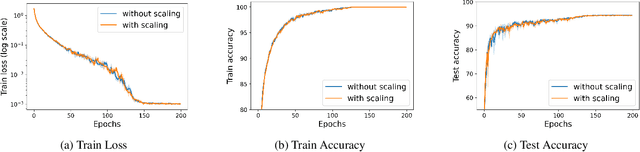 Figure 1 for Random Scaling and Momentum for Non-smooth Non-convex Optimization