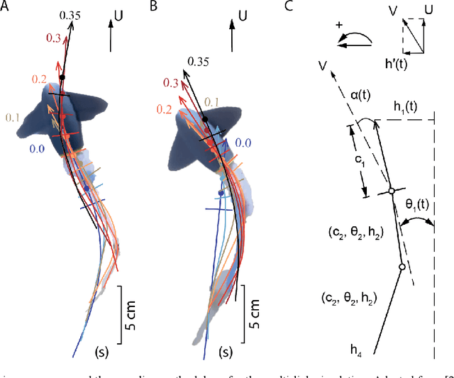 Figure 3 for Accelerating Aquatic Soft Robots with Elastic Instability Effects