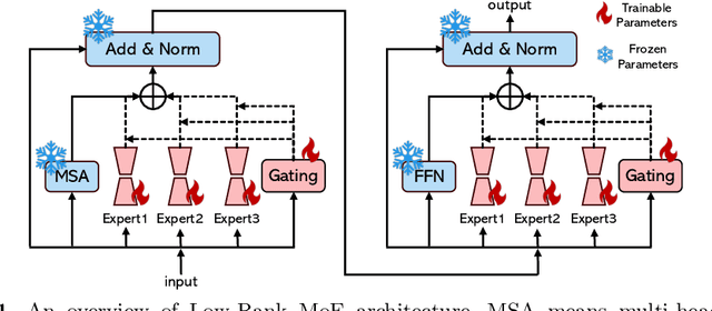 Figure 1 for Low-Rank Mixture-of-Experts for Continual Medical Image Segmentation