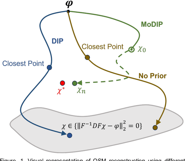 Figure 1 for Quantitative Susceptibility Mapping through Model-based Deep Image Prior (MoDIP)