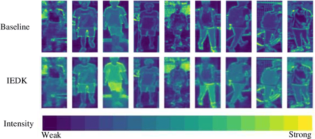 Figure 4 for Dynamic Identity-Guided Attention Network for Visible-Infrared Person Re-identification