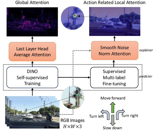 Figure 1 for Noise-Free Explanation for Driving Action Prediction