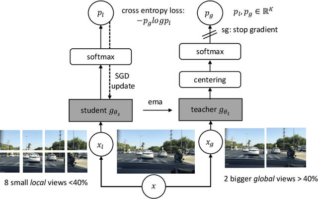 Figure 3 for Noise-Free Explanation for Driving Action Prediction