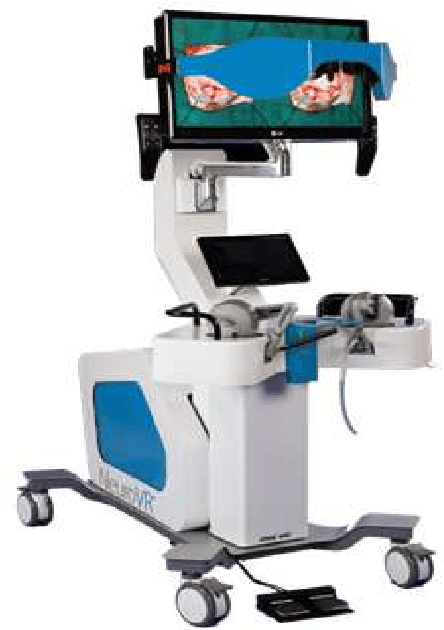 Figure 2 for Real-time simulation of viscoelastic tissue behavior with physics-guided deep learning