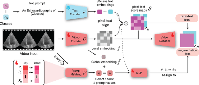 Figure 1 for Prompt-driven Universal Model for View-Agnostic Echocardiography Analysis