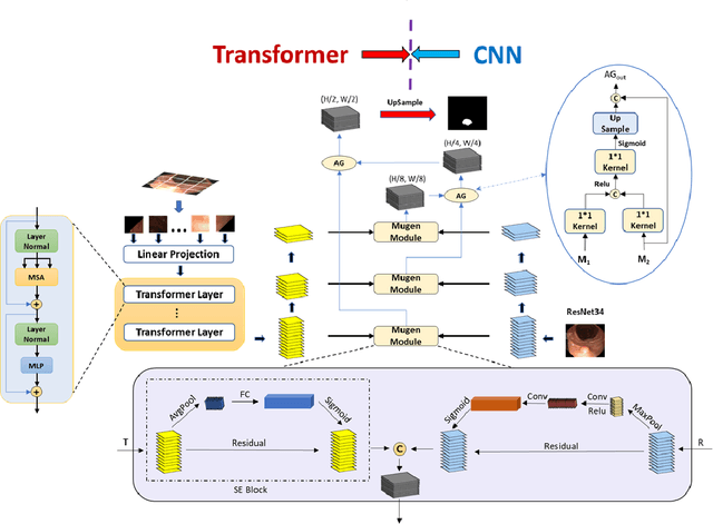 Figure 1 for MugenNet: A Novel Combined Convolution Neural Network and Transformer Network with its Application for Colonic Polyp Image Segmentation