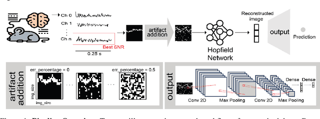 Figure 1 for Hopfield-Enhanced Deep Neural Networks for Artifact-Resilient Brain State Decoding