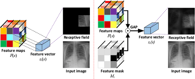 Figure 3 for FeaInfNet: Diagnosis in Medical Image with Feature-Driven Inference and Visual Explanations