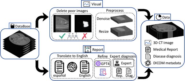 Figure 1 for BIMCV-R: A Landmark Dataset for 3D CT Text-Image Retrieval