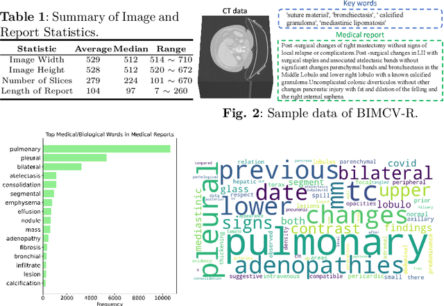 Figure 2 for BIMCV-R: A Landmark Dataset for 3D CT Text-Image Retrieval