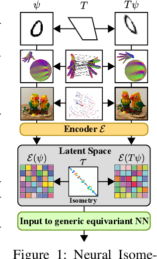 Figure 1 for Neural Isometries: Taming Transformations for Equivariant ML
